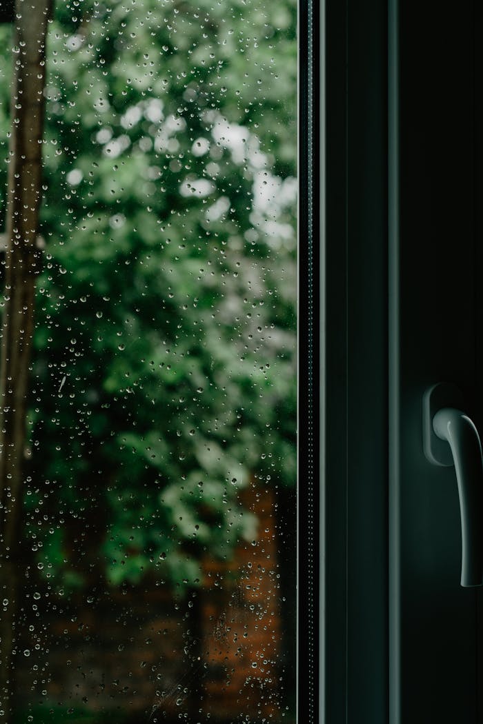 A window with raindrops blurring the view of green vegetation outside.